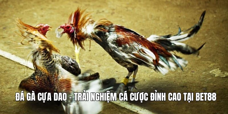 Đá Gà Cựa Dao - Trải Nghiệm Cá Cược Đỉnh Cao Tại Bet88