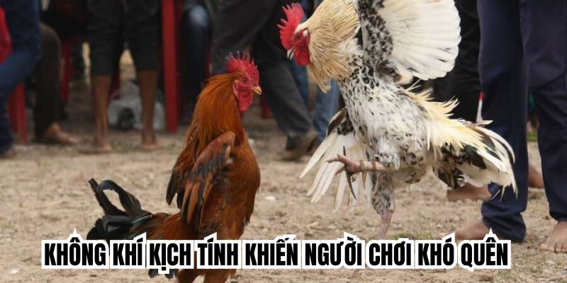 Không khí kịch tính khiến người chơi khó quên