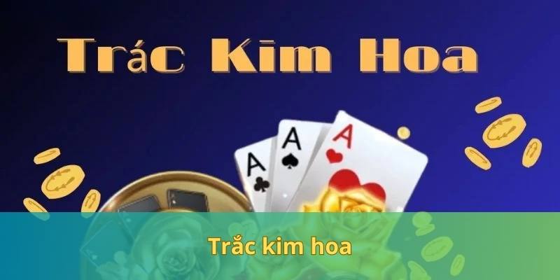 Chinh Phục Game Bài Trắc Kim Hoa Với Kinh Nghiệm Hay Từ Cao Thủ